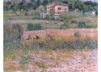 Campagna a Lido di Camaiore Campagna a Lido di Camaiore