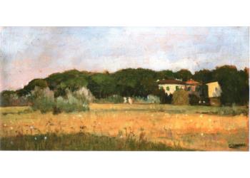 PAESAGGIO DI VERSILIA PAESAGGIO DI VERSILIA